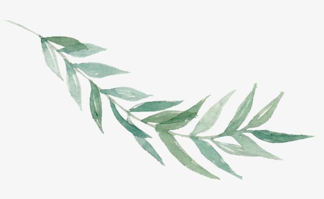 云之毅的個(gè)人主頁(yè)（背景預(yù)覽） - 主頁(yè)背景設(shè)置 - 站酷設(shè)計(jì)師云之毅原創(chuàng)素材 - 站酷ZCOOL