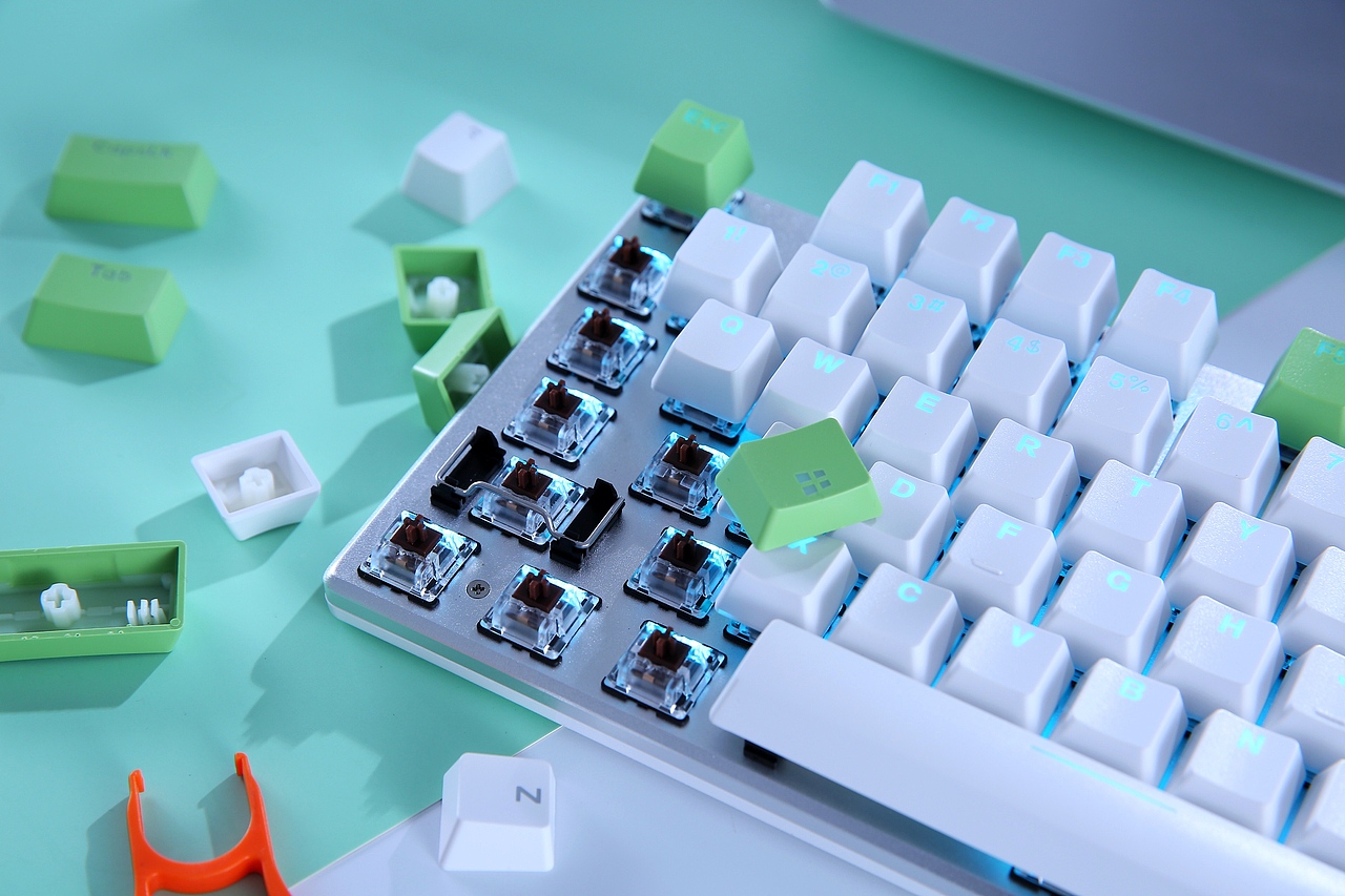 不。是你的达尔优!