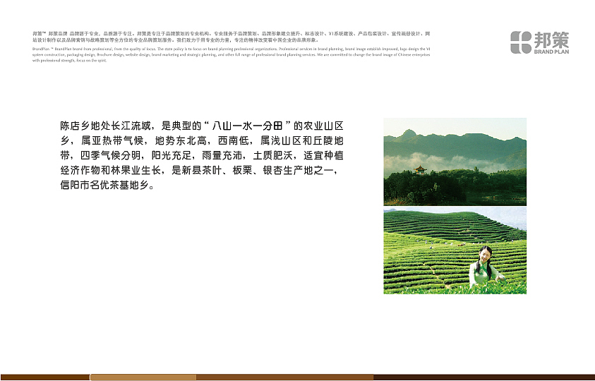 陈店茶叶品牌形象设计样稿