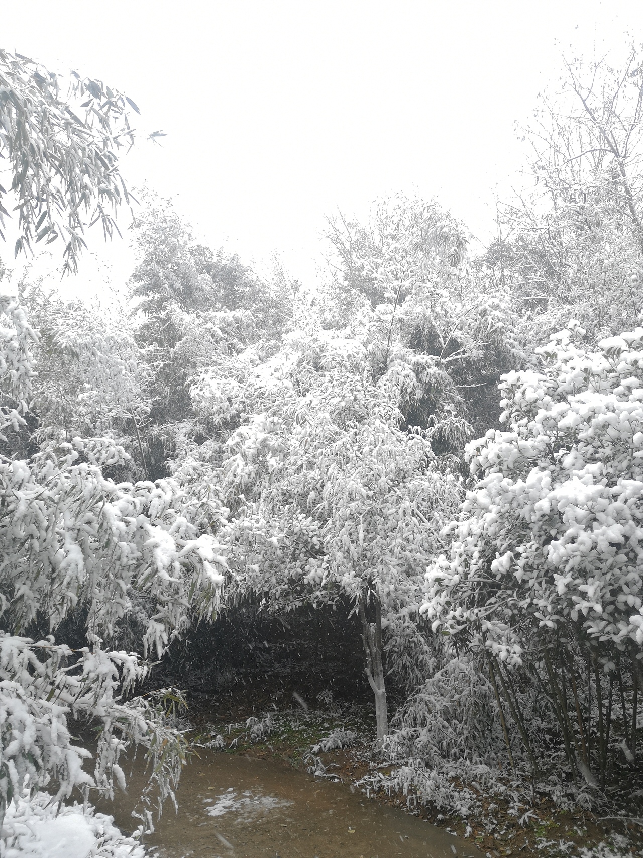 《冬》（图ZMjQxMTI4NDA0） - 风光摄影 - 站酷设计师Noahguo原创素材 - 站酷ZCOOL