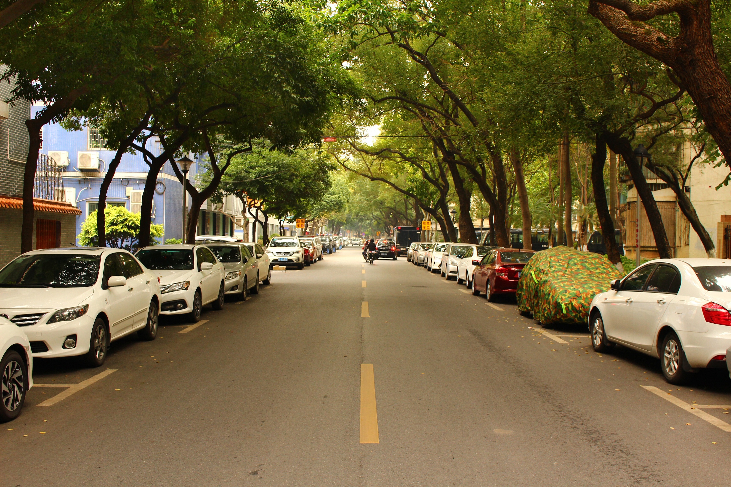 一组视觉延伸构图