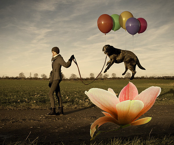 大一下期末作业