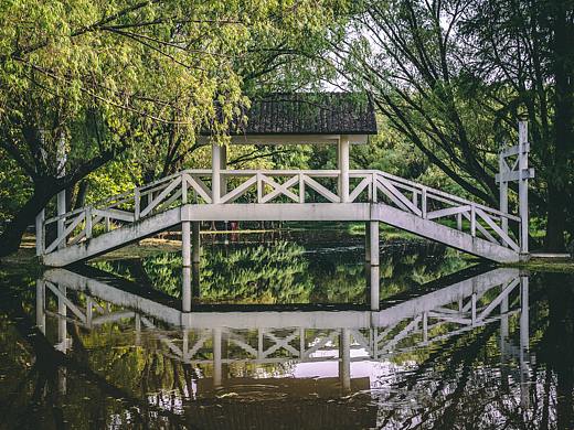 上海——共青森林公园