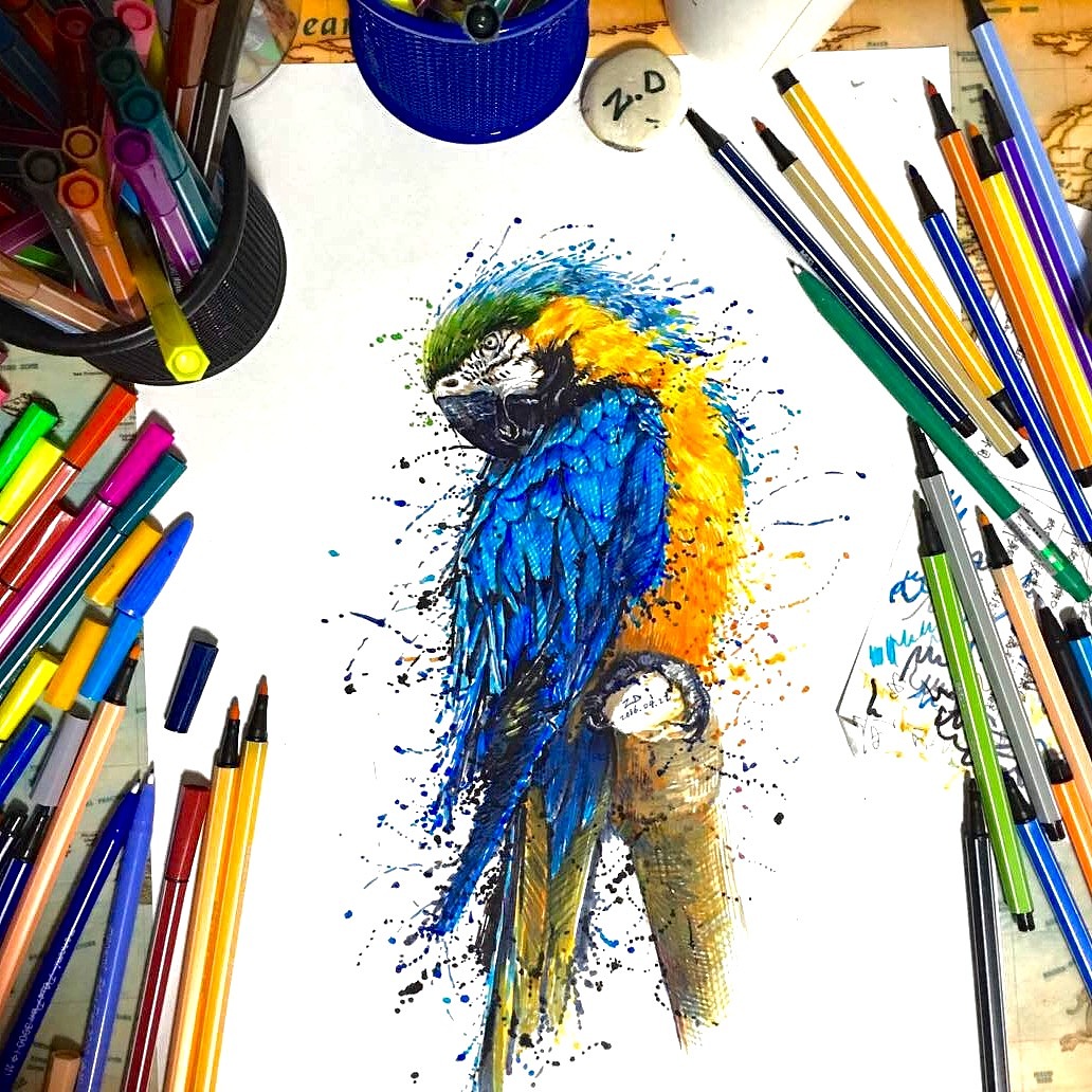 ZD水彩筆鸚鵡。（圖ZNDcyNTY0NzI=） - 繪畫 - 站酷設(shè)計師AisinGioroZD周丹原創(chuàng)素材 - 站酷ZCOOL