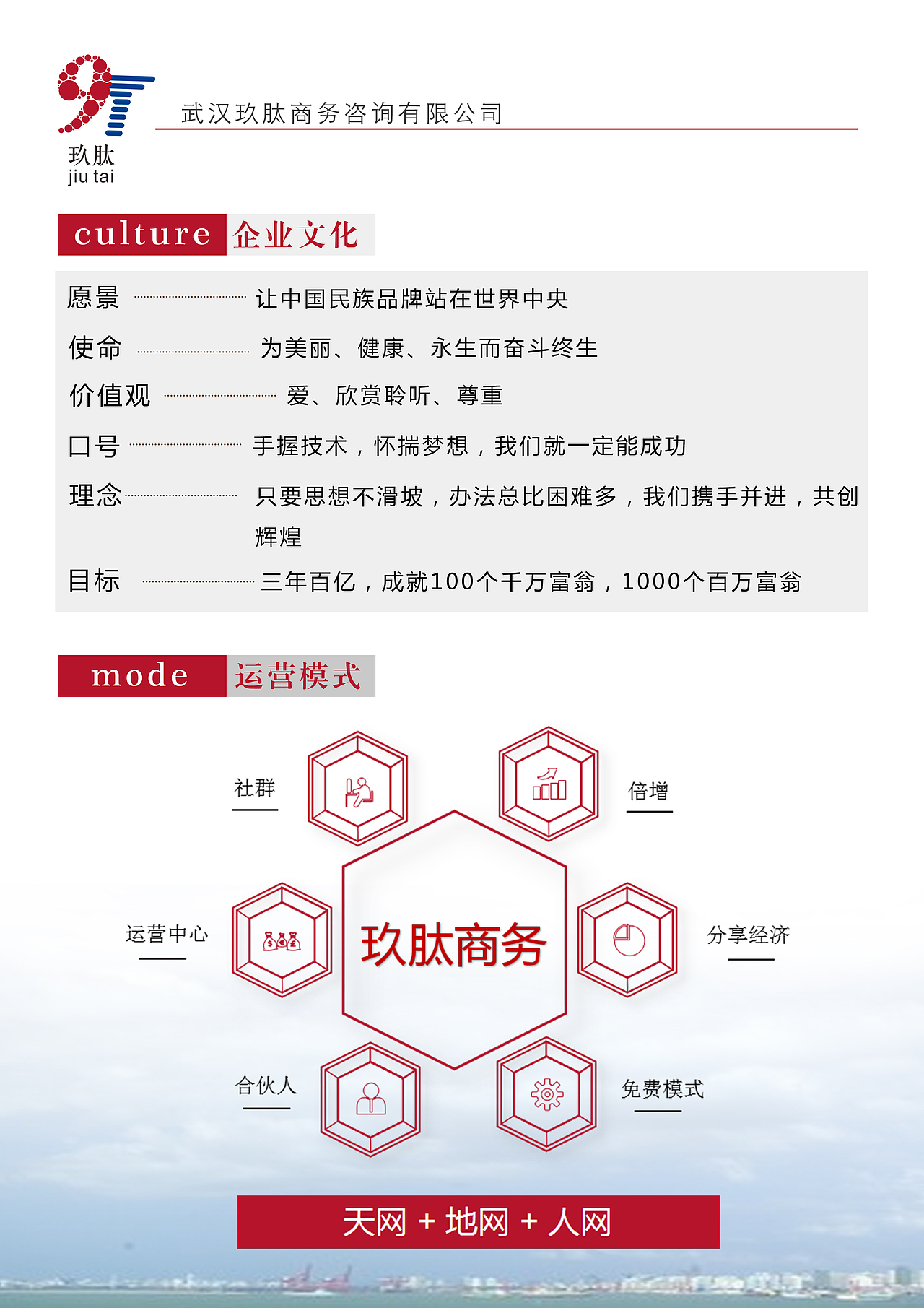 社交电商+新零售