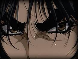 視頻/動(dòng)效