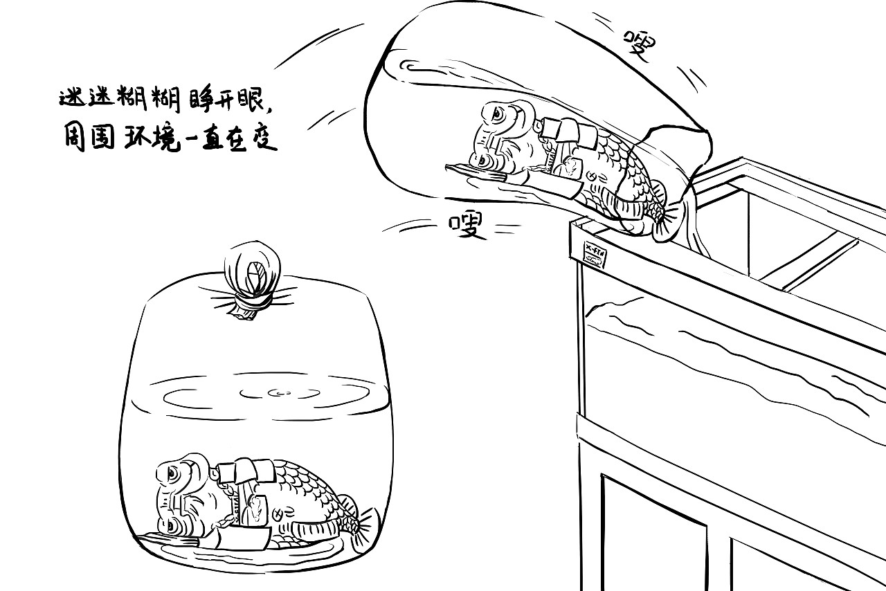 極魚-龍魚漫畫插圖【手繪性科普】（圖ZMTQ3Mjg1ODI4） - 商業(yè)插畫 - 站酷設計師一顆白菜啊原創(chuàng)素材 - 站酷ZCOOL