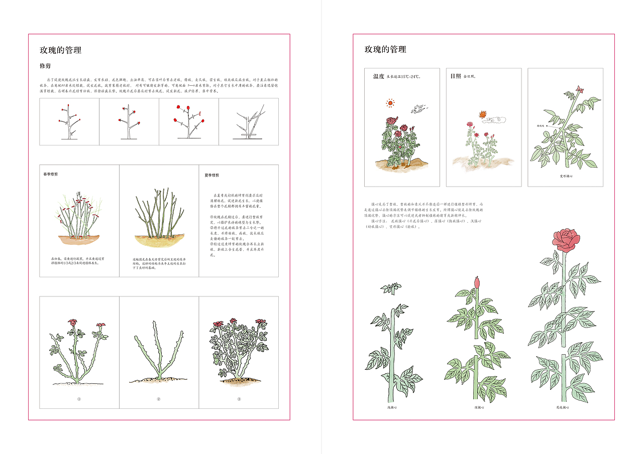 原创《玫瑰》（图ZMTUxNjk1Nzcy） - 其他平面 - 站酷设计师藜小亭原创素材 - 站酷ZCOOL