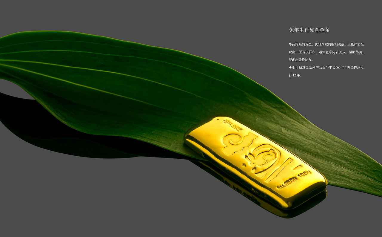 中钞国鼎产品画册(设计/摄影)