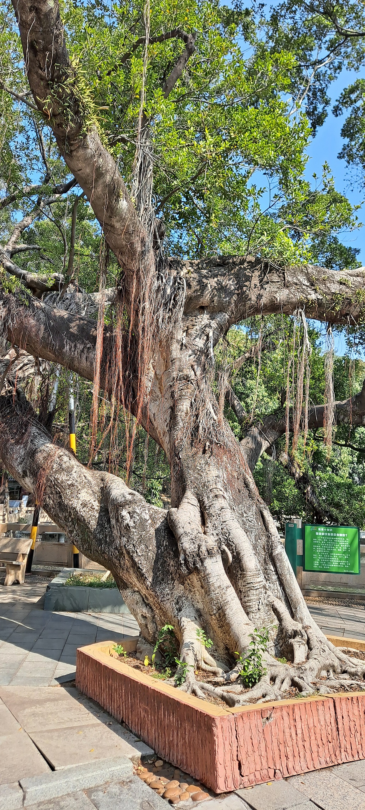 写生★名家作品选