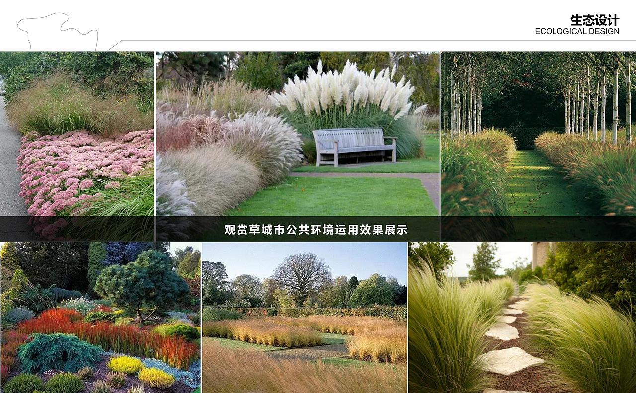 万州国家农业公园沿线景观提升