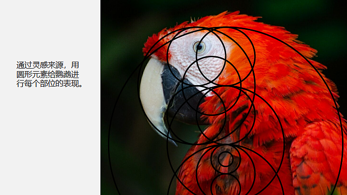 “冬日私语”主题动物抽象练习