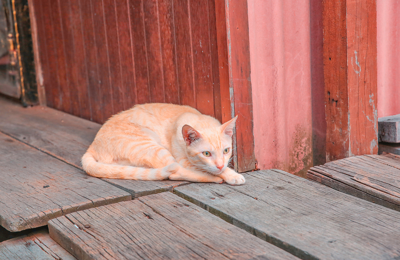 糖果色的槟城小城（图ZMTU0NTQwMTI4） - 风光摄影 - 站酷设计师叶念翔原创素材 - 站酷ZCOOL