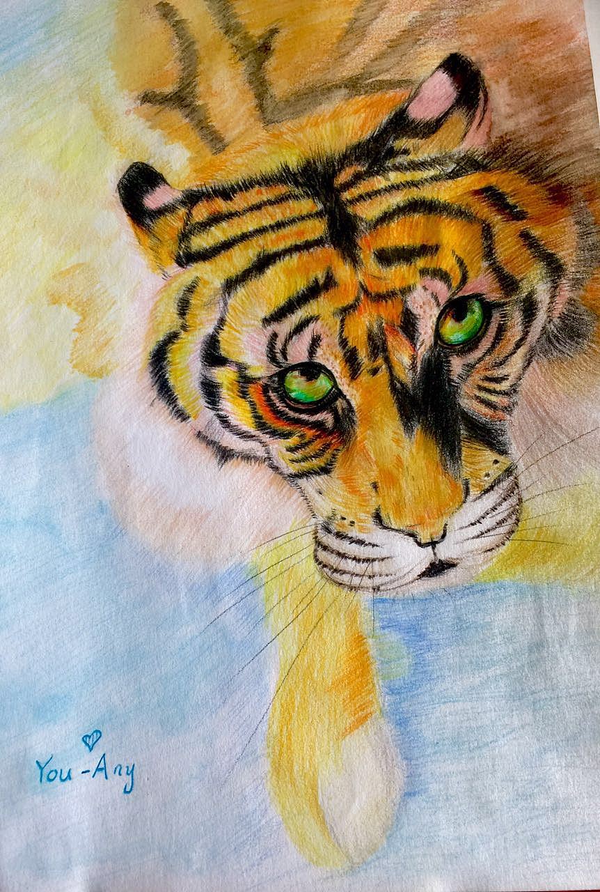 呆萌的小憨包（图ZOTA3MDgyOTI=） - 创作习作 - 站酷设计师有安妮原创素材 - 站酷ZCOOL