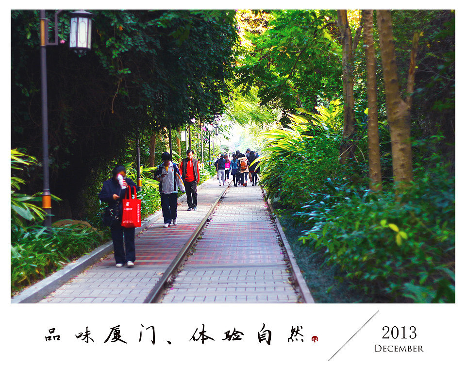 品味厦门、体验自然（图ZMTMxOTI4NzI=） - 风光摄影 - 站酷设计师KWEIYANG原创素材 - 站酷ZCOOL