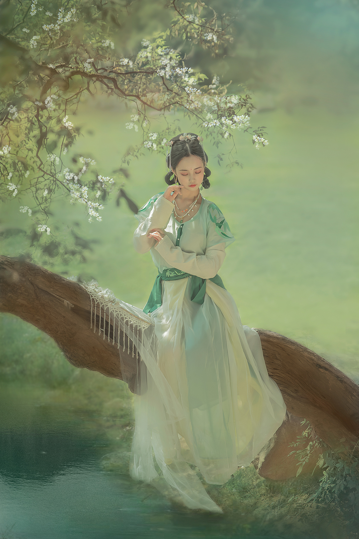 ‖一树满庭芳‖