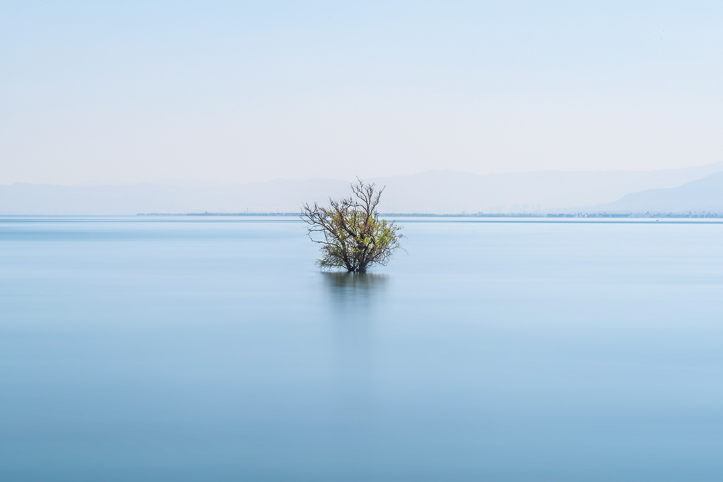水蜜桃味百香果的個(gè)人主頁（封面預(yù)覽） - 主頁封面設(shè)置 - 站酷設(shè)計(jì)師水蜜桃味百香果原創(chuàng)素材 - 站酷ZCOOL