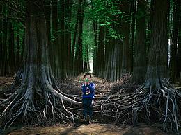 春天里的四明山童話