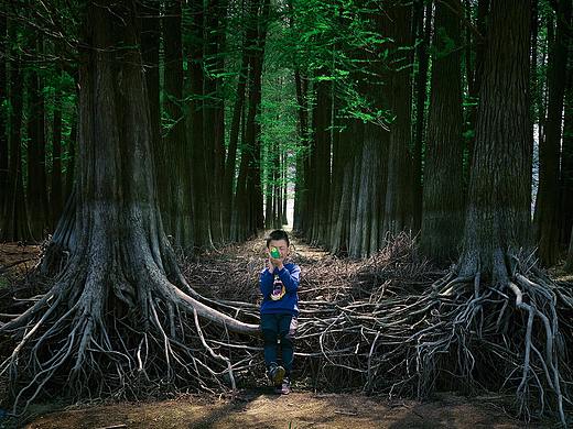 春天里的四明山童话