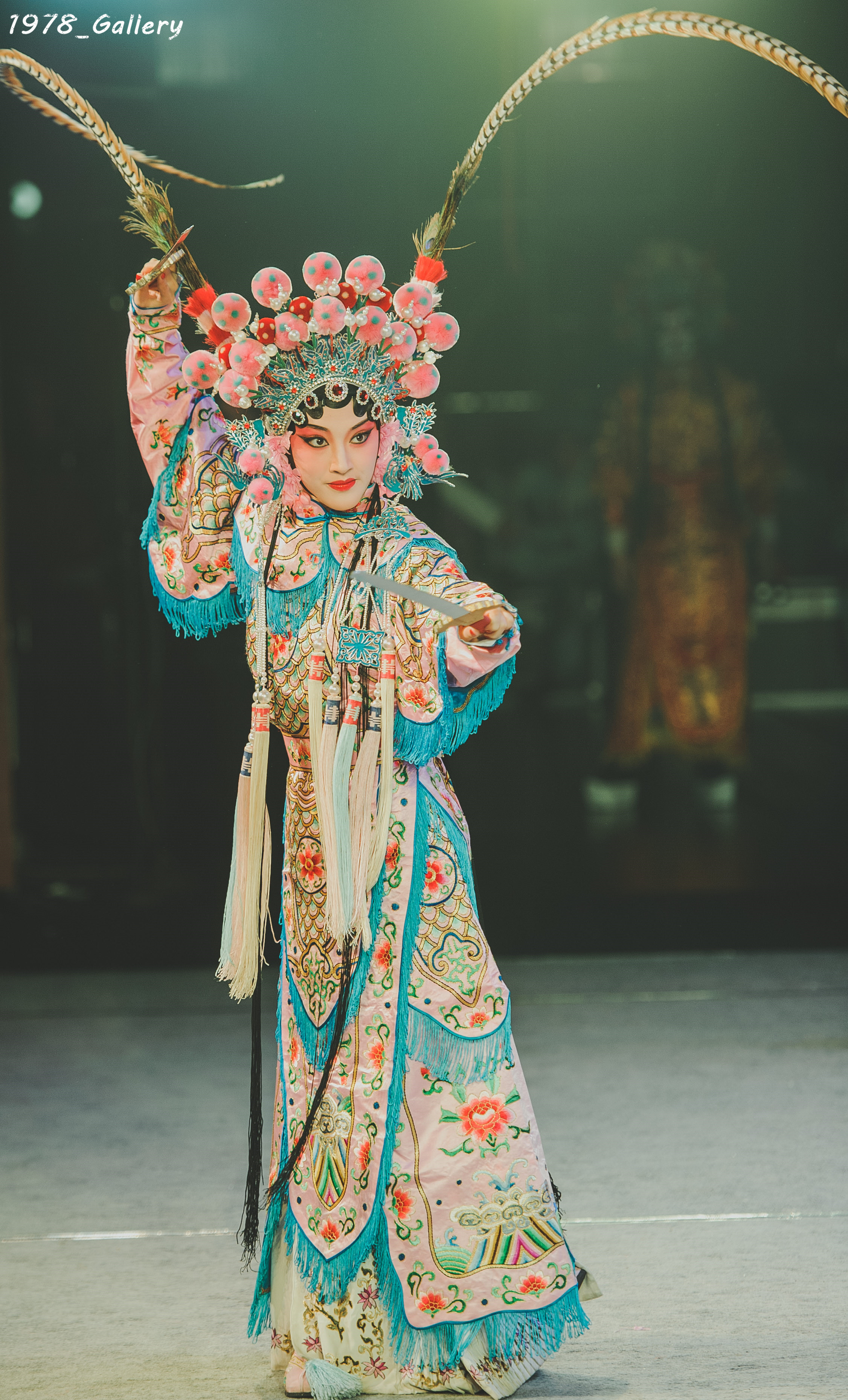 临川四梦之南柯梦记(卫立,蒋珂版)-上海昆剧团