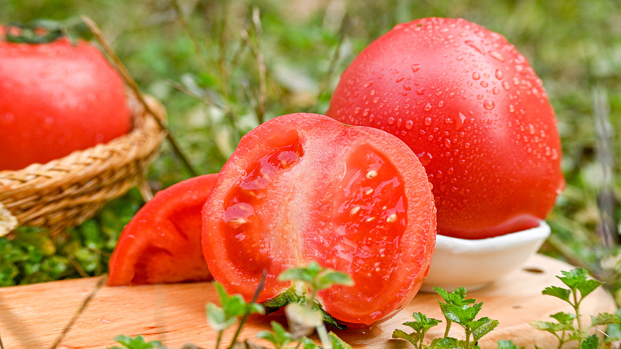 普罗旺斯西红柿 阴天室外拍摄