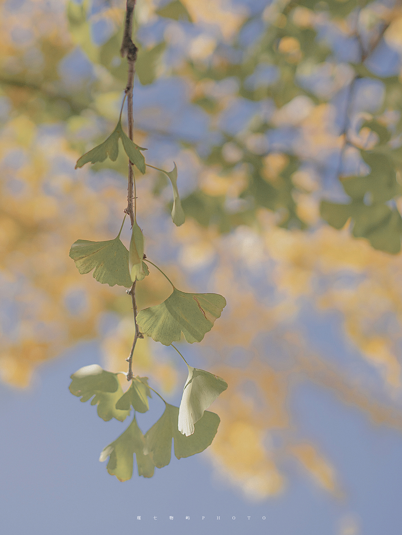 生活摄影 | 瑞幸咖啡产品拍摄植入