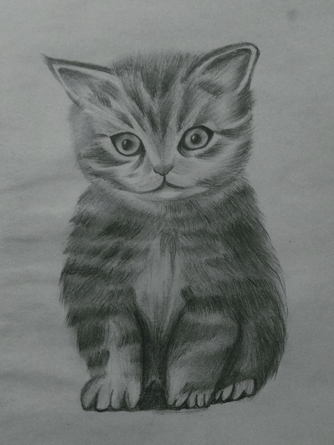 手绘 猫咪 小萌猫