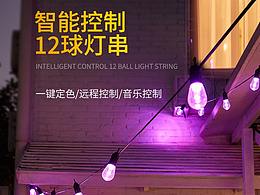 智能灯串详情
