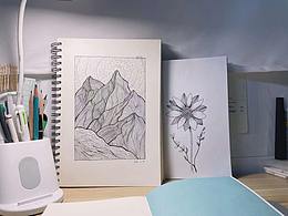 控筆練習(xí)的集合