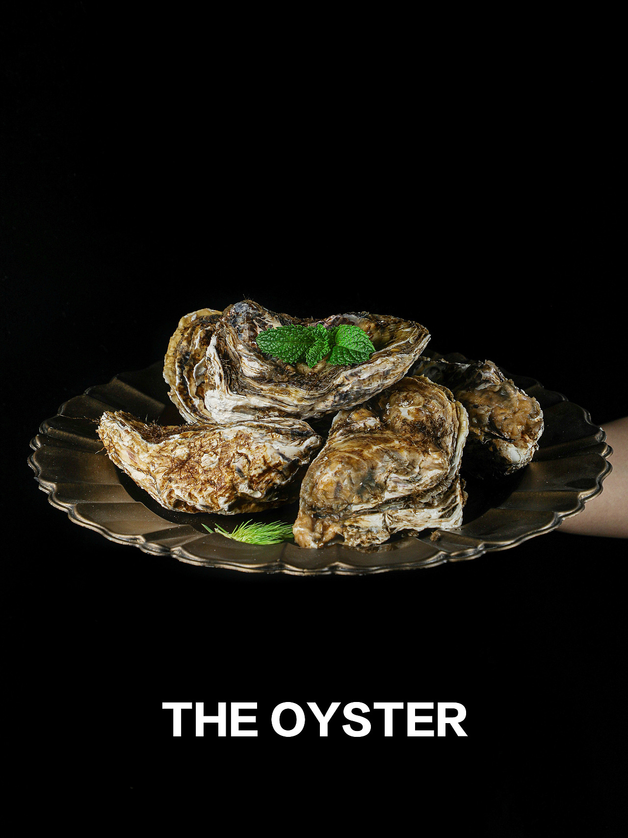 生蚝（图ZMzAzMzM0MzE2） - 美食摄影 - 站酷设计师阿司先生原创素材 - 站酷ZCOOL