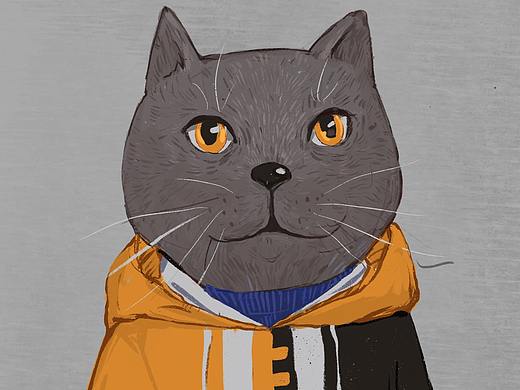 猫