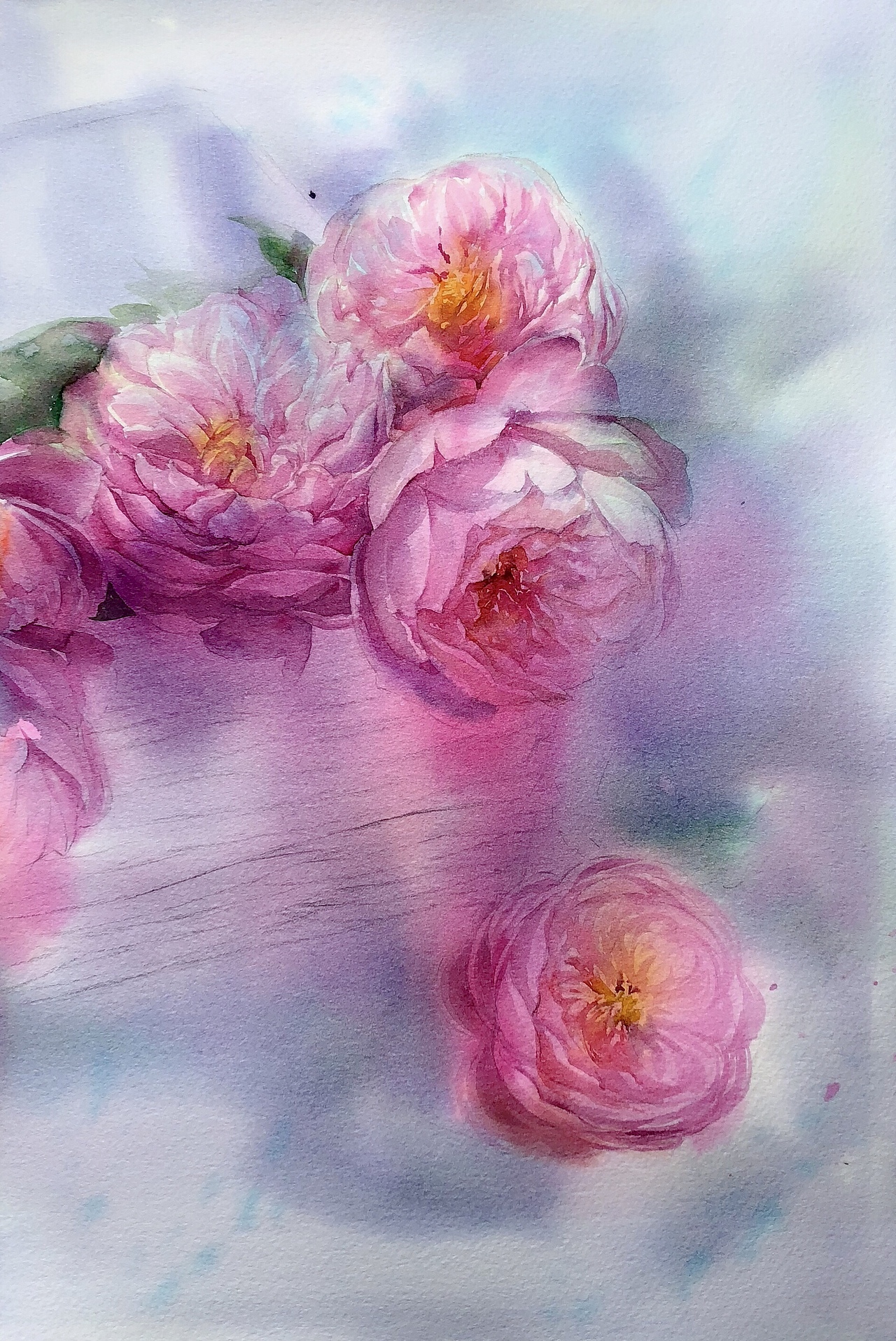 粉色月季主题（图ZMTI2ODk2MTgw） - 艺术插画 - 站酷设计师熙往原创素材 - 站酷ZCOOL