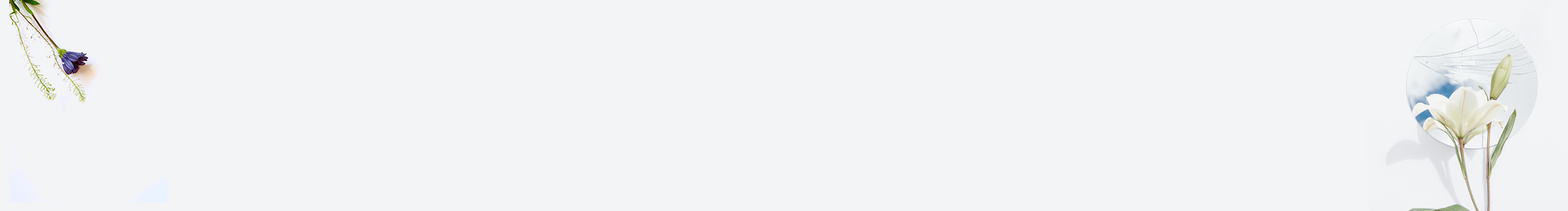 M_1024的个人主页（封面预览） - 主页封面设置 - 站酷设计师M_1024原创素材 - 站酷ZCOOL