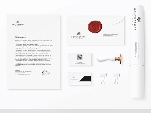 侯月汝飞科技公司品牌LOGO设计