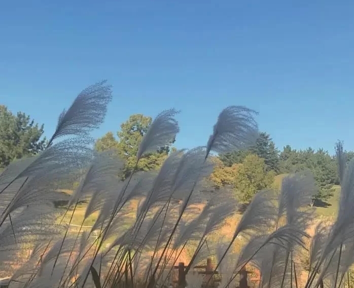 辣筆小欣耶的個人主頁（封面預(yù)覽） - 主頁封面設(shè)置 - 站酷設(shè)計師辣筆小欣耶原創(chuàng)素材 - 站酷ZCOOL