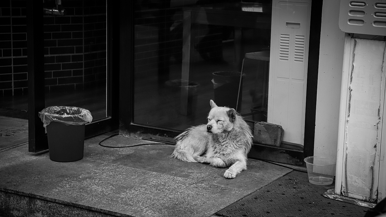 Urban Streets丨成都《1》（图ZMzYwMjI0NzI0） - 人文/纪实摄影 - 站酷设计师SPACE_Z原创素材 - 站酷ZCOOL