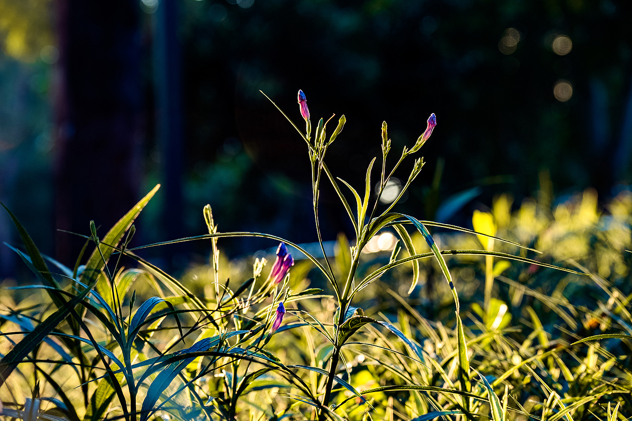抬头的一瞬间,定格时光