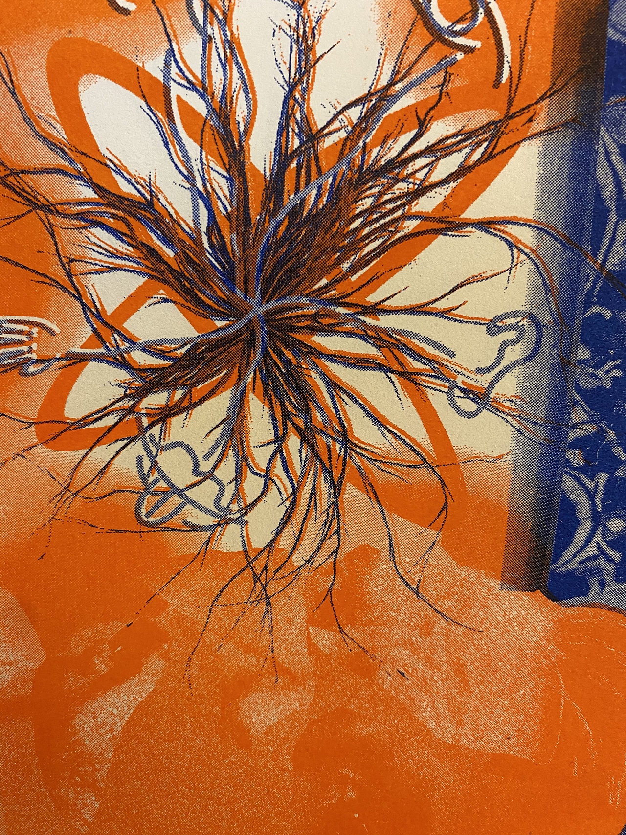 五感直播——平面媒介作业