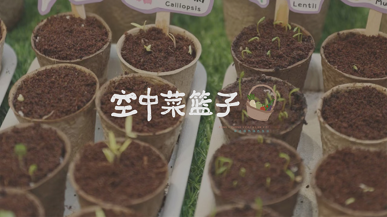 空中菜篮子 | 田园治愈的城市种植品牌
