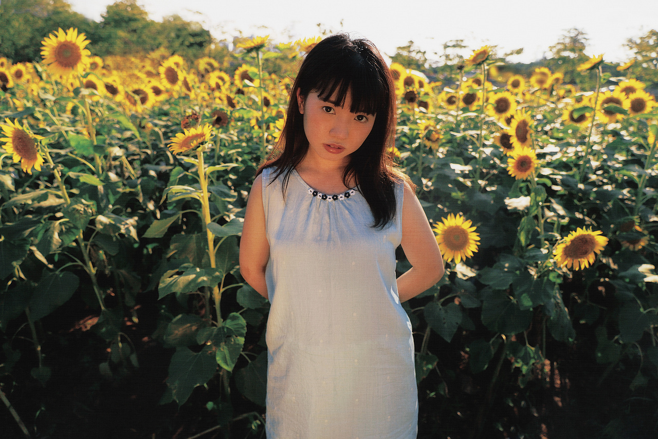 向日葵女孩（圖ZMzEzODY1NzU2） - 人像攝影 - 站酷設(shè)計(jì)師路暢歐原創(chuàng)素材 - 站酷ZCOOL