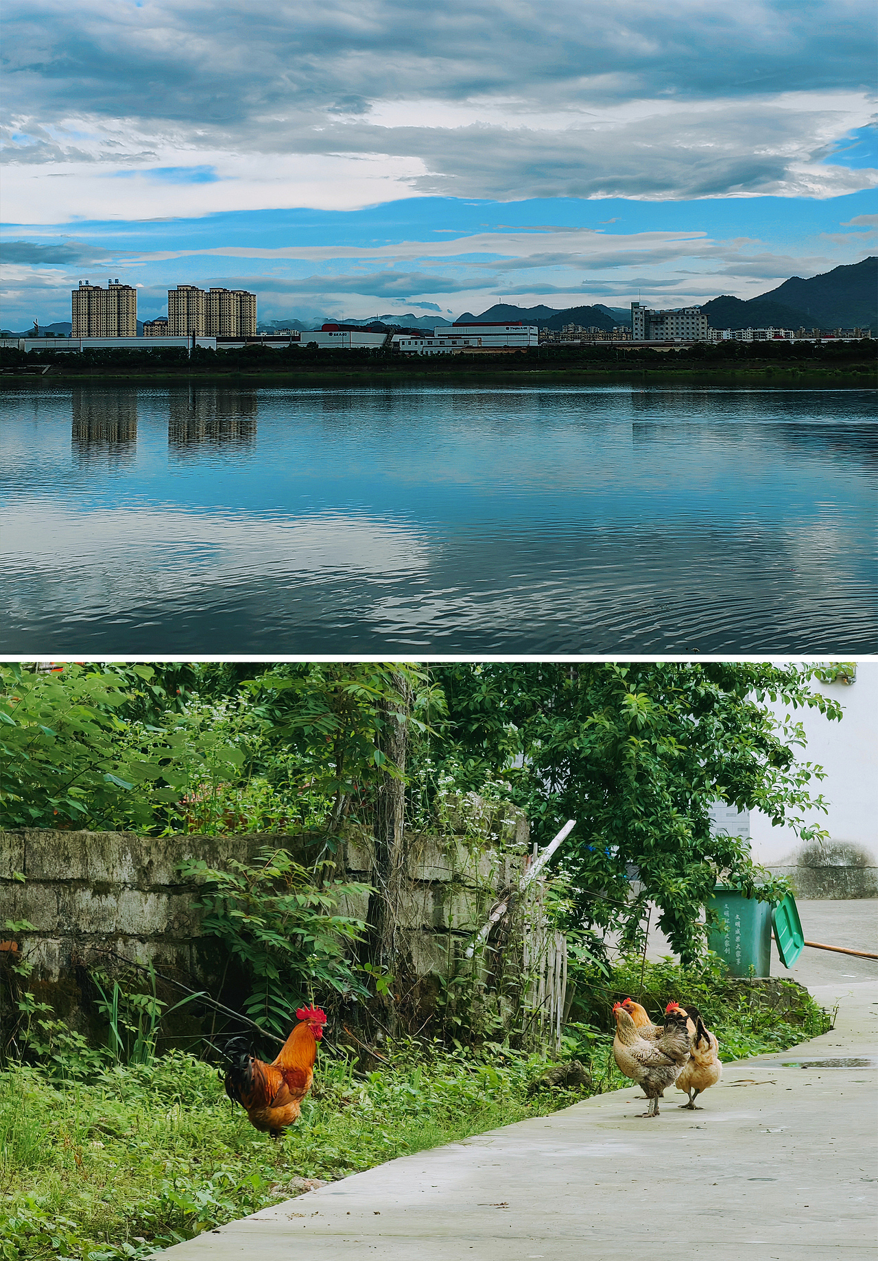 小梦的随手拍-第4期（图ZMzIwMDQ4Njg0） - 风光摄影 - 站酷设计师梦梦小梦12原创素材 - 站酷ZCOOL