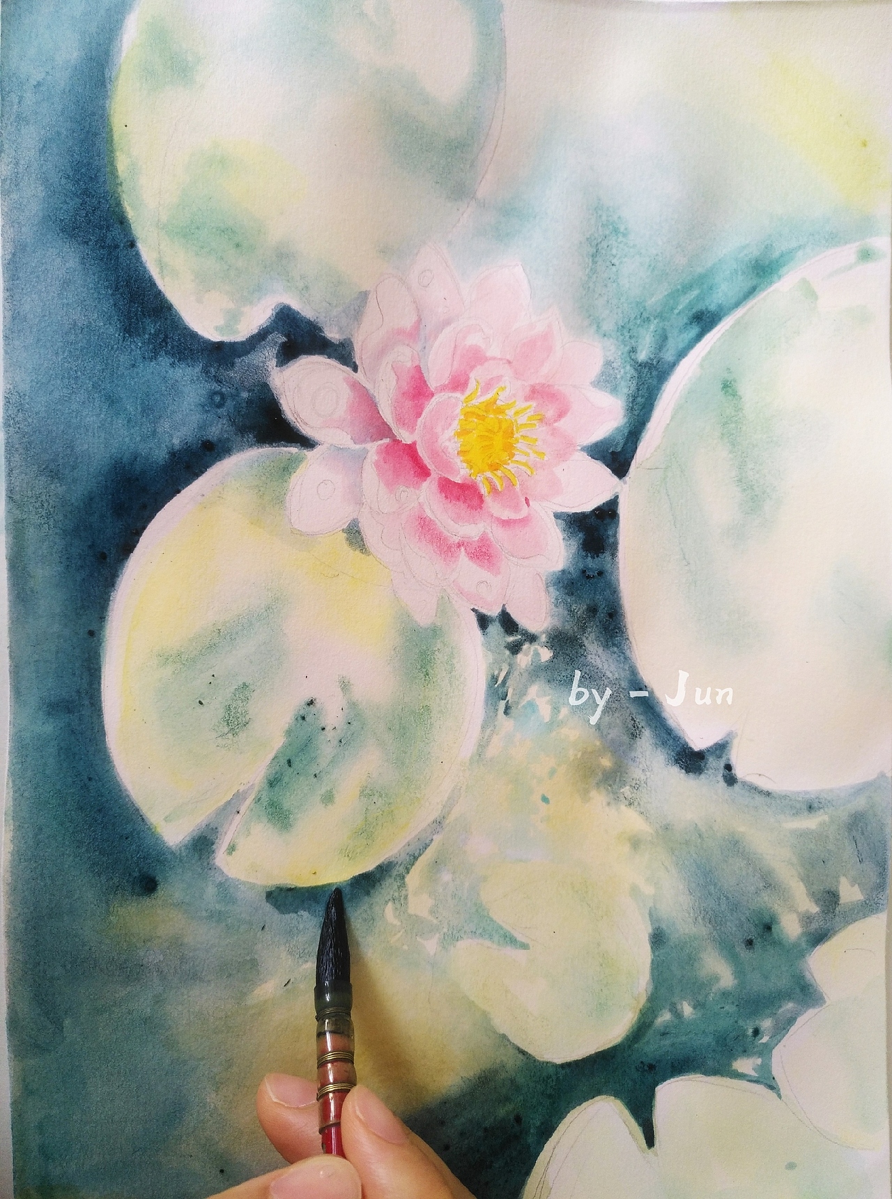 莲,花之君子者也