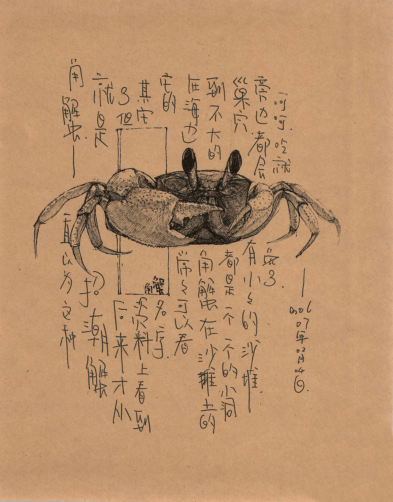 这个关于海鲜的插画手稿（终）（图ZMTM2ODExMDQ4） - 创作习作 - 站酷设计师daimol原创素材 - 站酷ZCOOL
