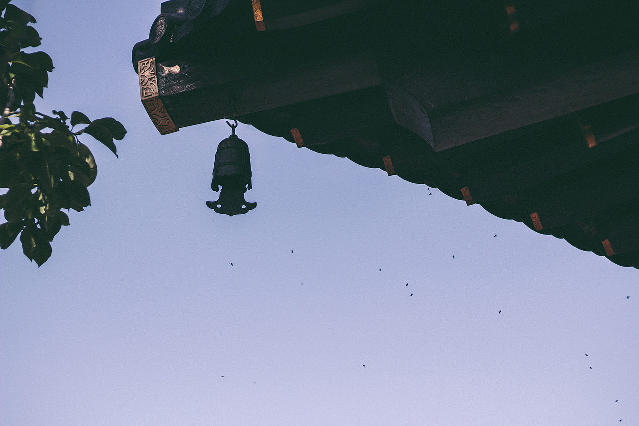 广富林古文化遗址