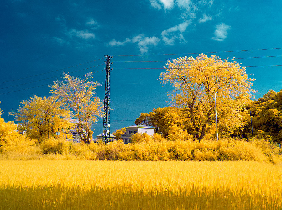 稻田成熟时期（图ZNjAxNDA1MDA=） - 风光摄影 - 站酷设计师janction原创素材 - 站酷ZCOOL