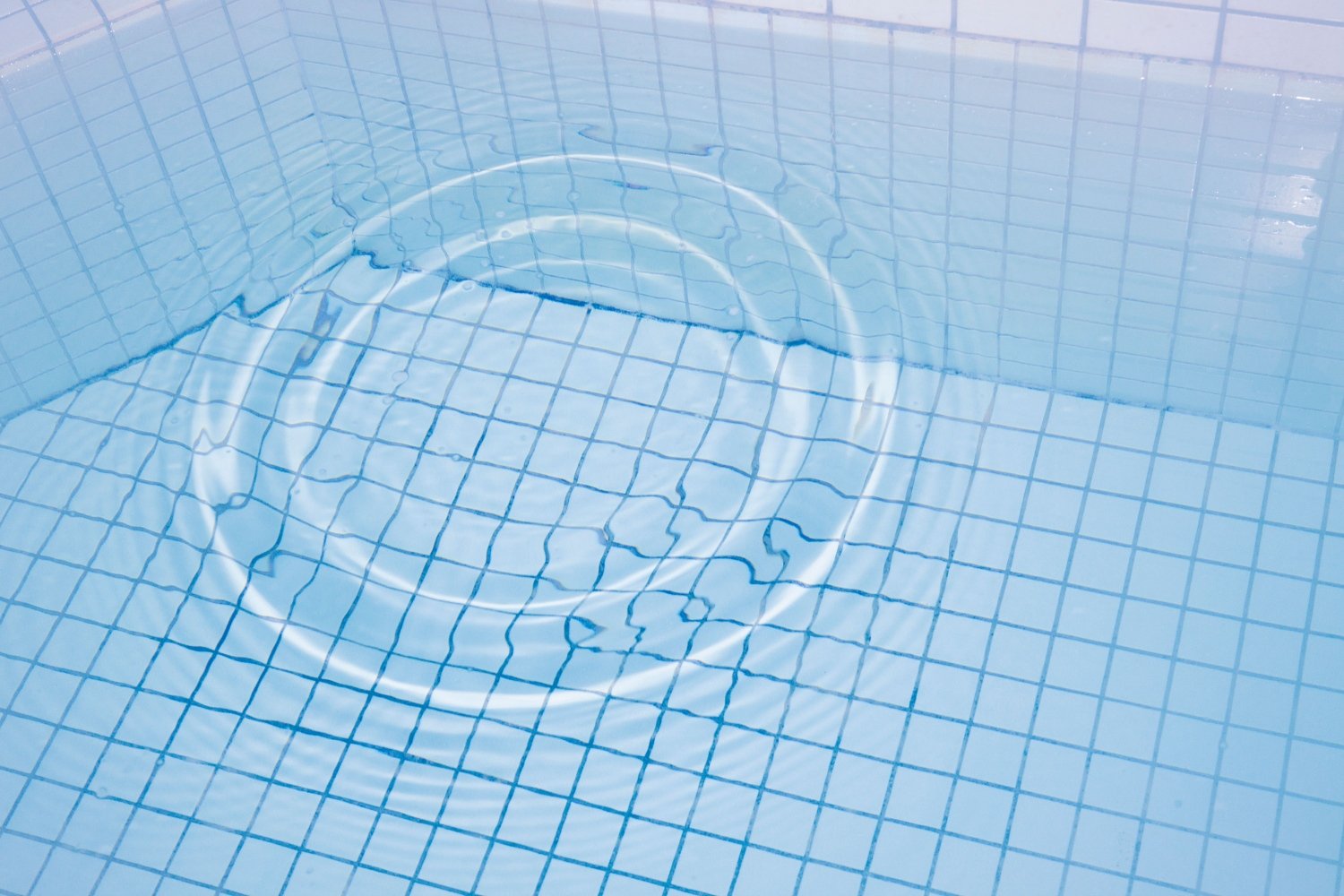 suevet的个人主页（背景预览） - 主页背景设置 - 站酷设计师suevet原创素材 - 站酷ZCOOL