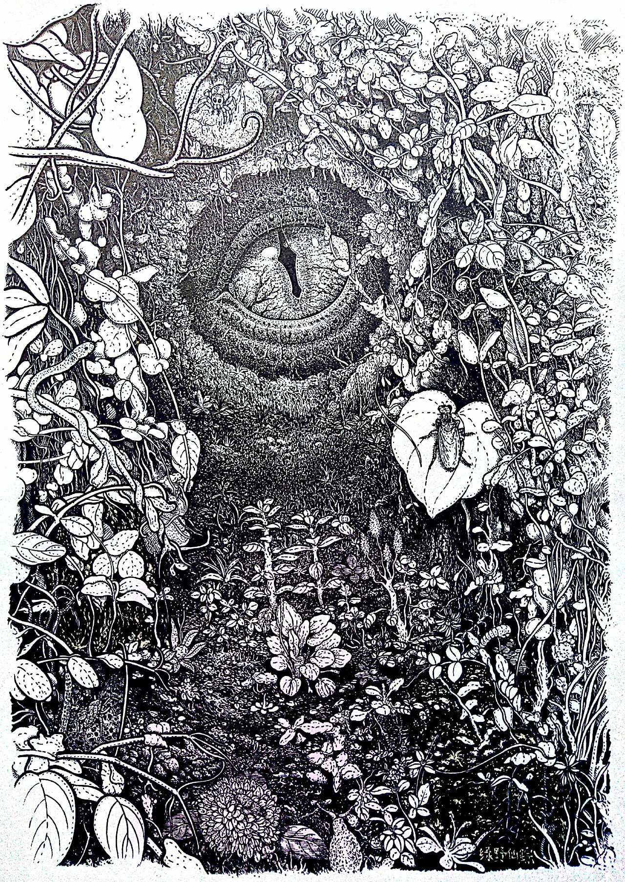 龙之眼（图ZODkxOTA1ODA=） - 绘画 - 站酷设计师绿野仙踪WYT原创素材 - 站酷ZCOOL