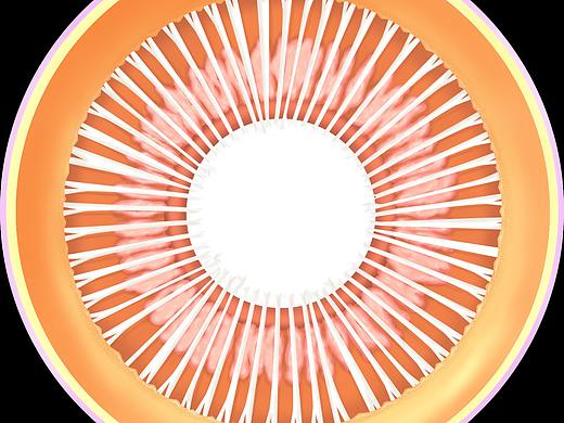 醫(yī)學(xué)插畫（個人主頁-ZNTIyMTkwMjQ=） - 創(chuàng)作習作 - 站酷設(shè)計師Z39597665原創(chuàng)素材 - 站酷ZCOOL