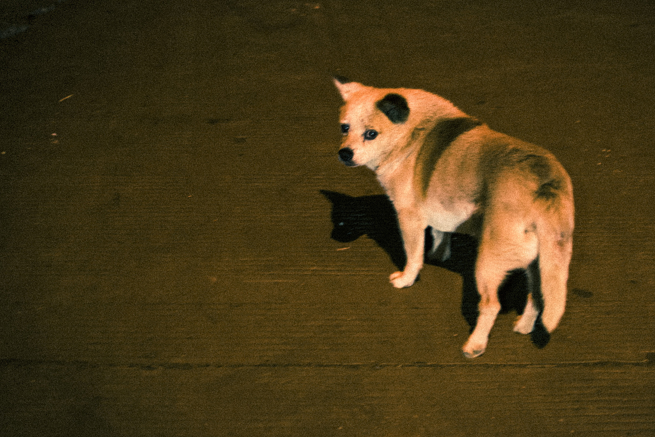 遇见是不是就不一样呀（图ZMjIwMjU0NTI0） - 风光摄影 - 站酷设计师aiml1998原创素材 - 站酷ZCOOL