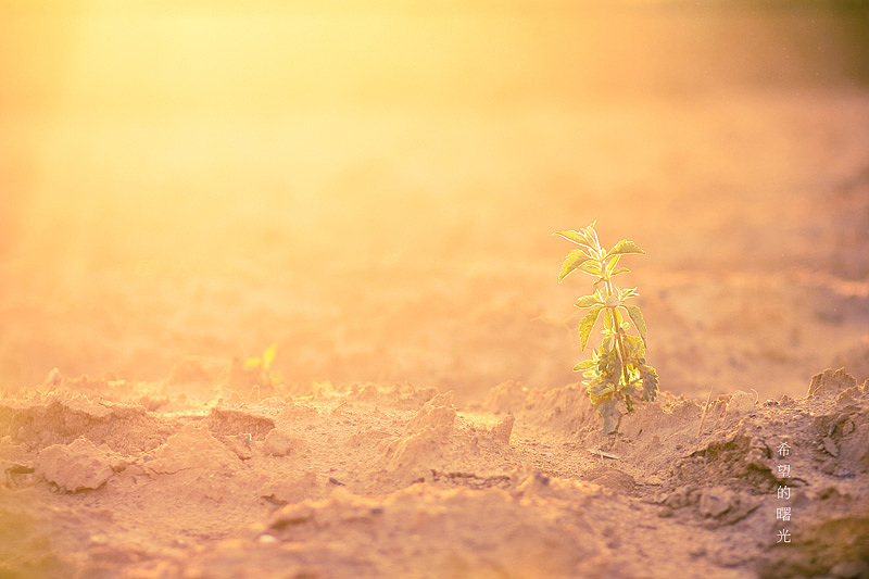 第十三张:希望的曙光 br>这张照片,是我拍完全部回程时候捡到的,因为